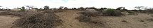 Abandoned Maasai Village near Namanga (Amboseli National Park, Kenya)