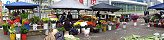 Palo Quemao Flower Market in Bogota (Colombia)