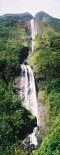 Waterfall in the cirque of Salazie (Runion Island)