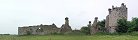 Storks on the Ruins of Rivire Castle (Saint-Fromond, Manche, France)