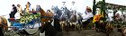 TransHumance Parade on the Corniche in Marseille (Bouches du Rhne, France)