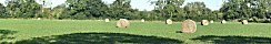 Bales of Rolled Hay in Grandcamp-Maisy (Calvados, France)