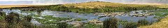 Hippo Oasis in Ngorongoro Crater (Tanzania)