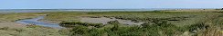 View of the Swamp in Aumeville-Lestre (Manche, France)