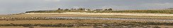 Seagulls on the Beach in Grandcamp-Maisy (Calvados, France)