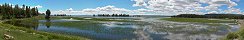 Pelican Creek near Lake Village in Yellowstone Park (Wyoming, USA)