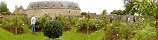 David Austin Rose Garden at Montfort Castle (Remilly-les-Marais, Manche, France)