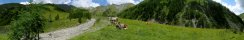 Alpine pastures in Schmirn valley (Tyrol, Austria)