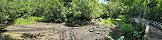 Alligator Sunning in Dry Lake, Audubon Corkscrew Swamp (Naples, Florida, USA)