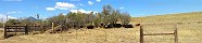 Windmill and Cattle Pen near La Veta (Colorado, USA)