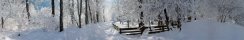 Snowy forest in Ziller Valley (Tyrol, Austria)